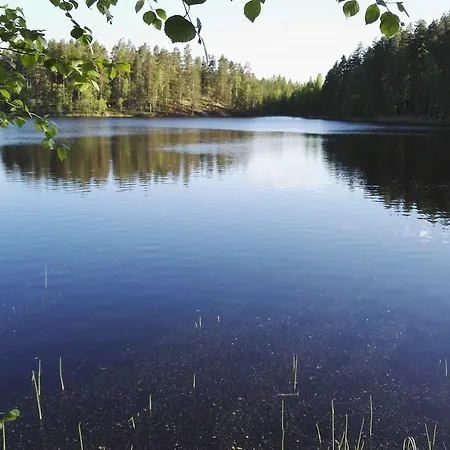 Huvikumpu Holiday home Orivesi